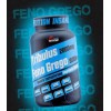 TRIBULUS WITH FENO GREGO INSANITY NUTRITION - 120 CAPS